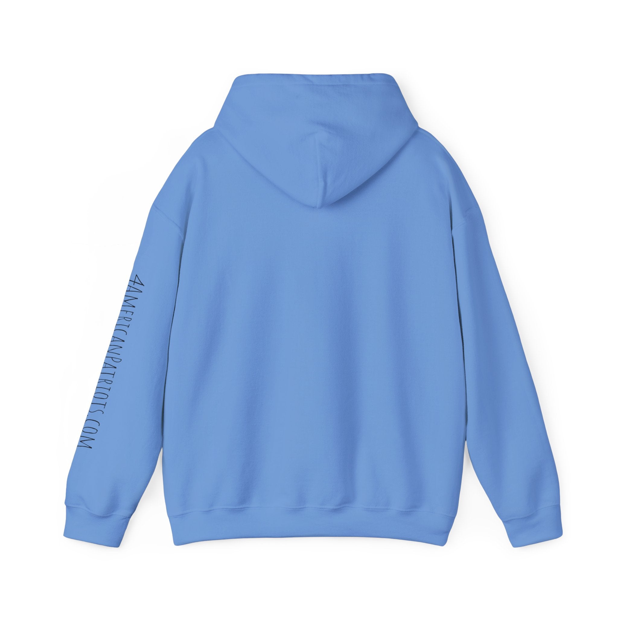 Carolina Blue hoodie with a visible brand logo on the sleeve against a white background